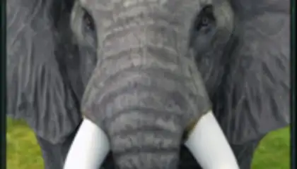 Wild Elephant Simulator